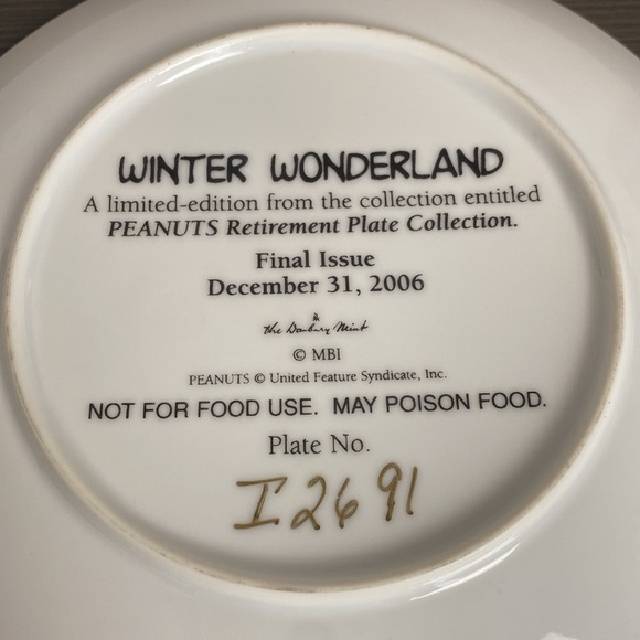 Peanuts Magical Moments Danbury Mint Winter Wonderland Plate 8" Retired 2006 - Picture 4 of 6
